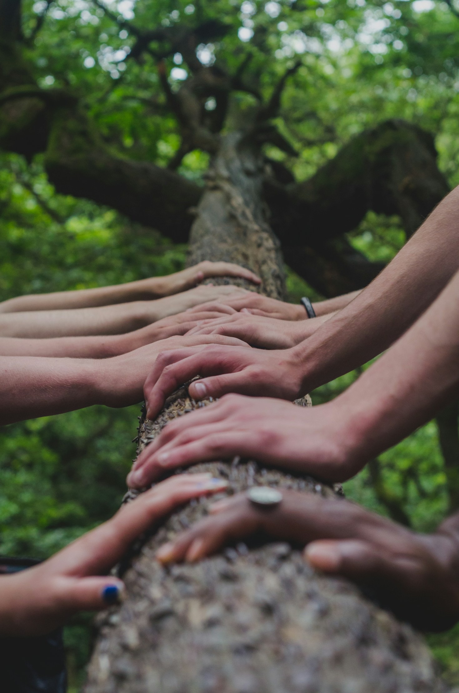 How Partnerships Can Strengthen Humanitarian Efforts