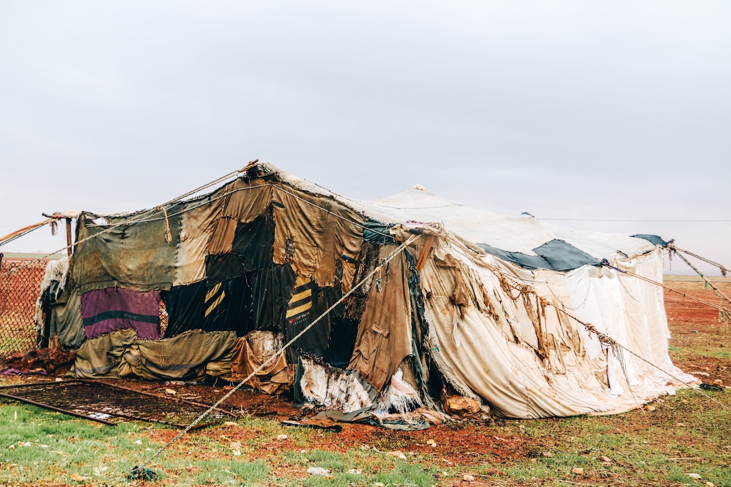 Human Dignity: Stories That Inspire Action